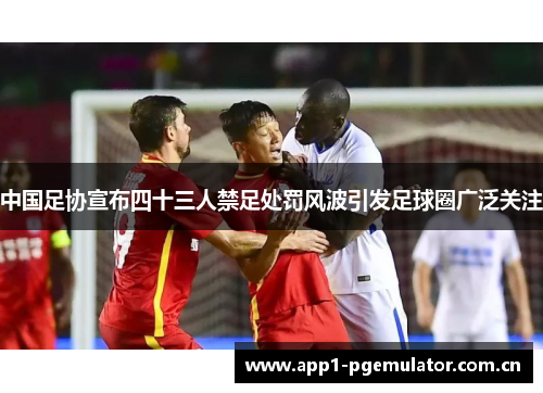 中国足协宣布四十三人禁足处罚风波引发足球圈广泛关注